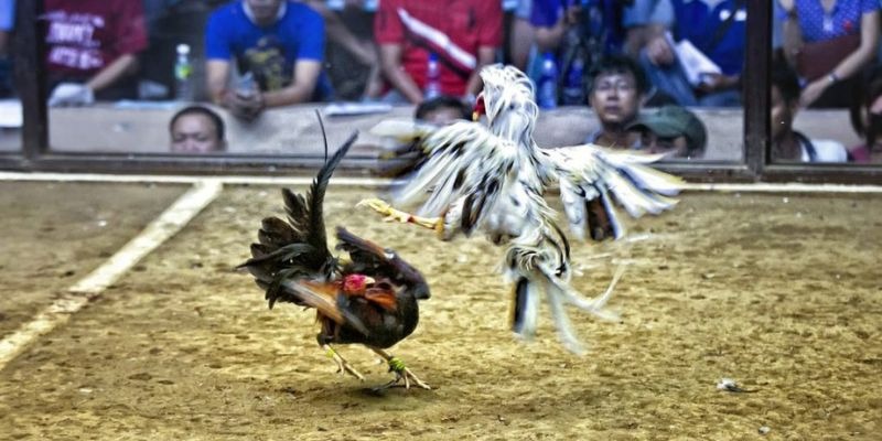 98win5 ﻿đăng nhập lô đề uy tín