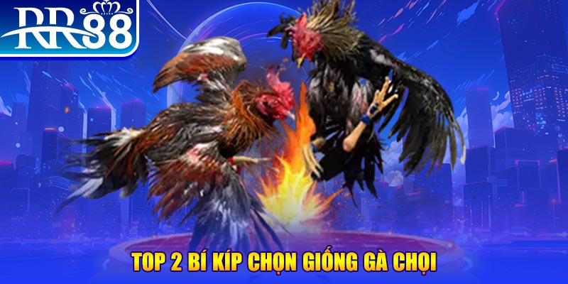98win5 bắn cá h5
