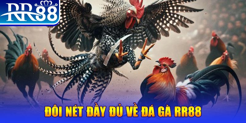 98win5 gà chọi hoà phong