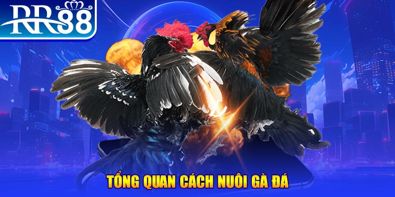 98win5 xổ số thứ ba