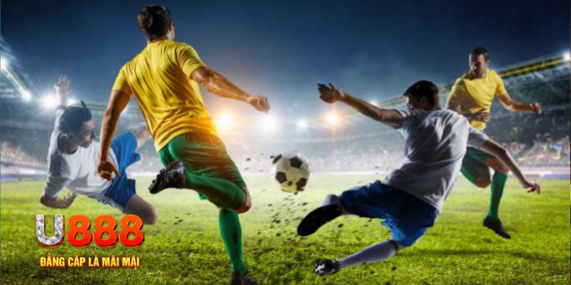 98win5 trực tiếp đá gà c1 hôm nay