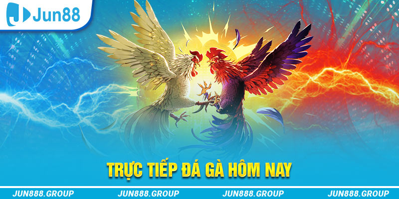 98win5 trực tiếp đá gà thomo