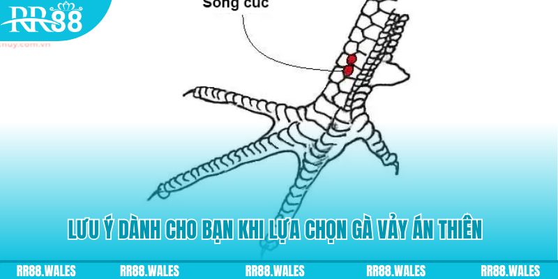 98win5 xổ số khánh hòa