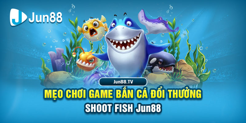 98win5 tải game đánh bài online về máy tính