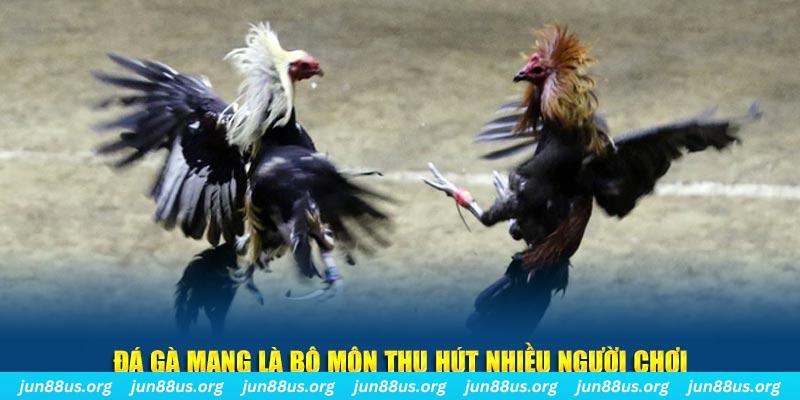 98win5 xổ số long an
