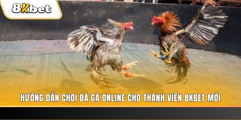 98win5 nổ hũ đổi thưởng . ai