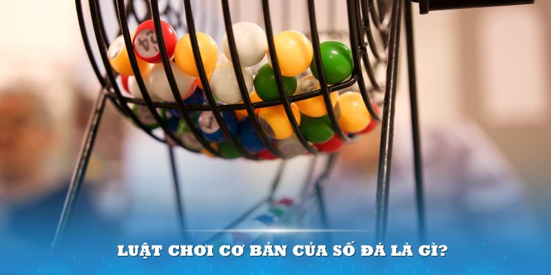 98win5 Đĩa màu ace