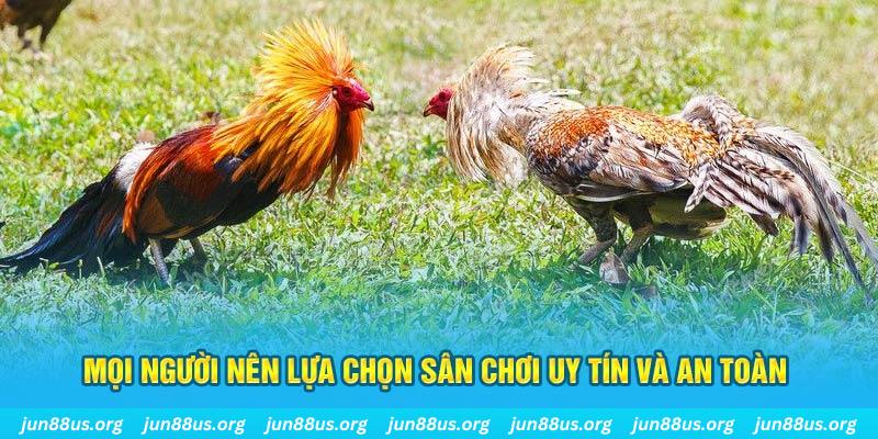 98win5 Tài Xỉu