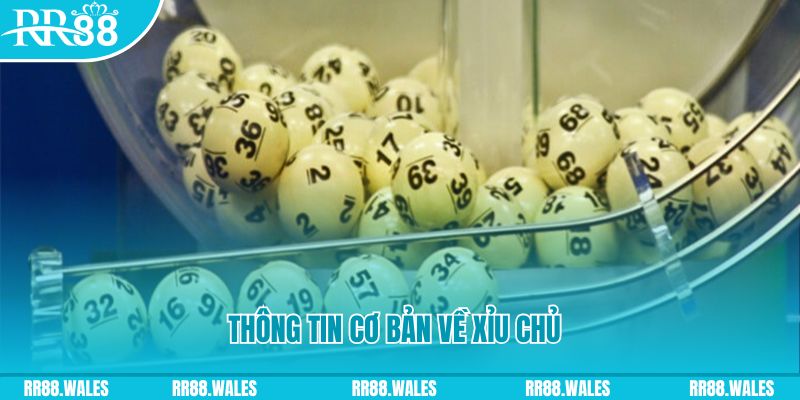 98win5 xổ số đà nẵng