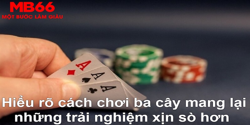 98win5 DB Trực Tuyến