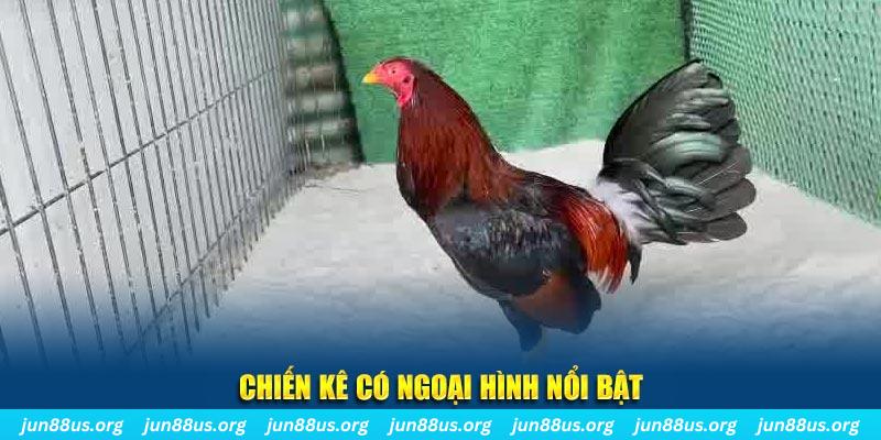 98win5 nhạc slot là gì
