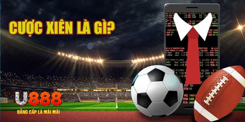98win5 đá gà thomo hôm nay